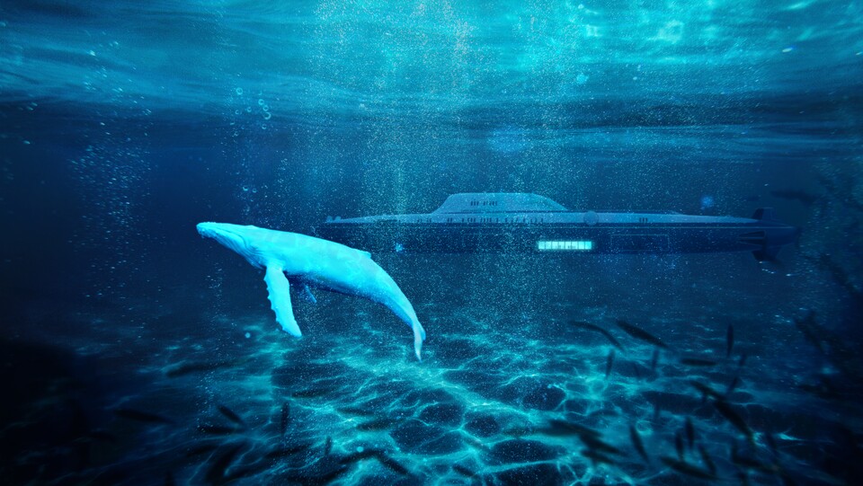 Fun fact: A submarine that is faster on the surface than underwater is actually called a submersible.  However, since Migaloo call their submersible a submarine, we do that too.  (Image: Migaloo Submarines)