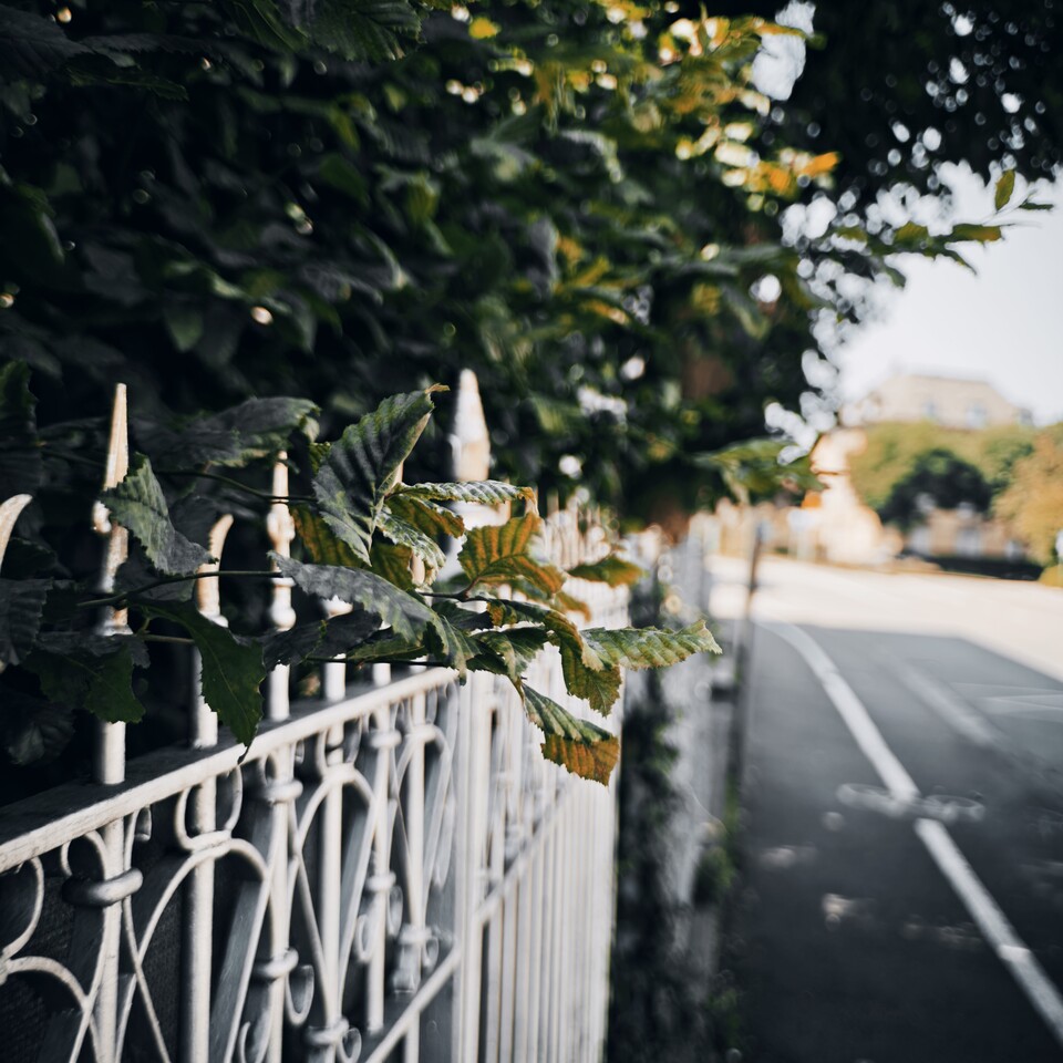 Beispielfoto
