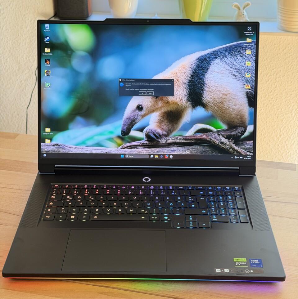 Trotz 3D-Funktionalität ist das IPS-Display nur Durchschnitt.