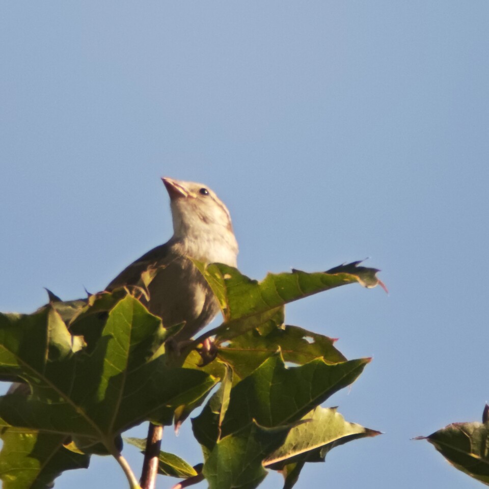 Beispielfoto