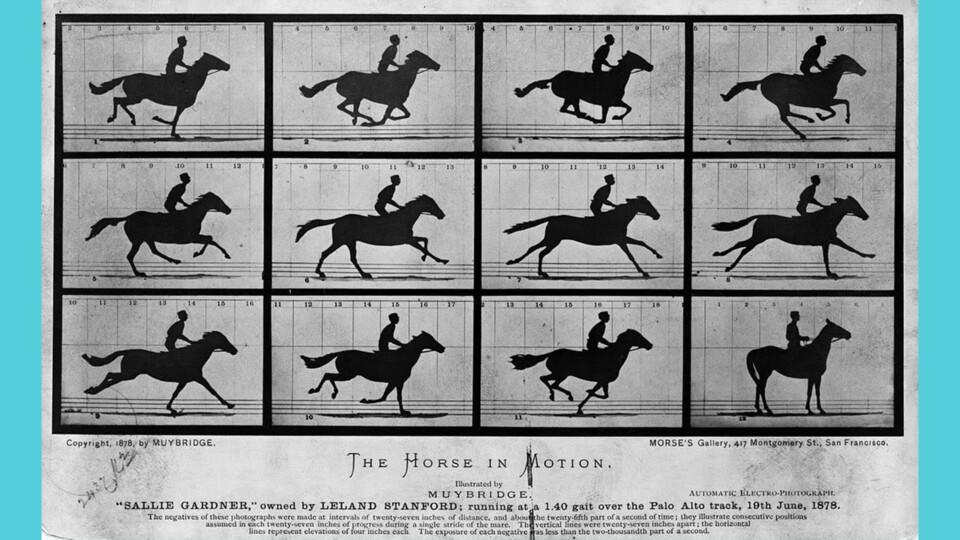 Im Film »Nope« von Jordan Peele spielt diese Aufnahme eine wichtige Rolle. (Bild: Wiki Commons)