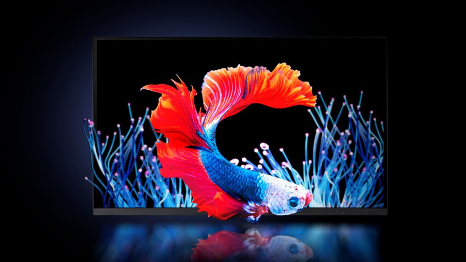 Auf einem OLED-Monitor sehen sowohl leuchtende Farben als auch schwarze Bereiche des Bildes einfach besser aus.