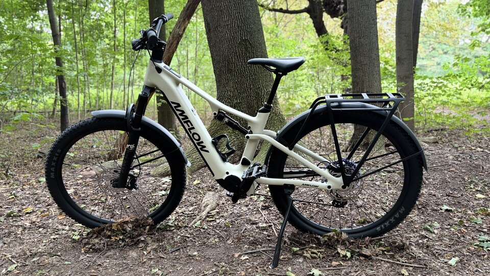 Auch im Wald fühlt sich das Amflow TL Carbon wohl.