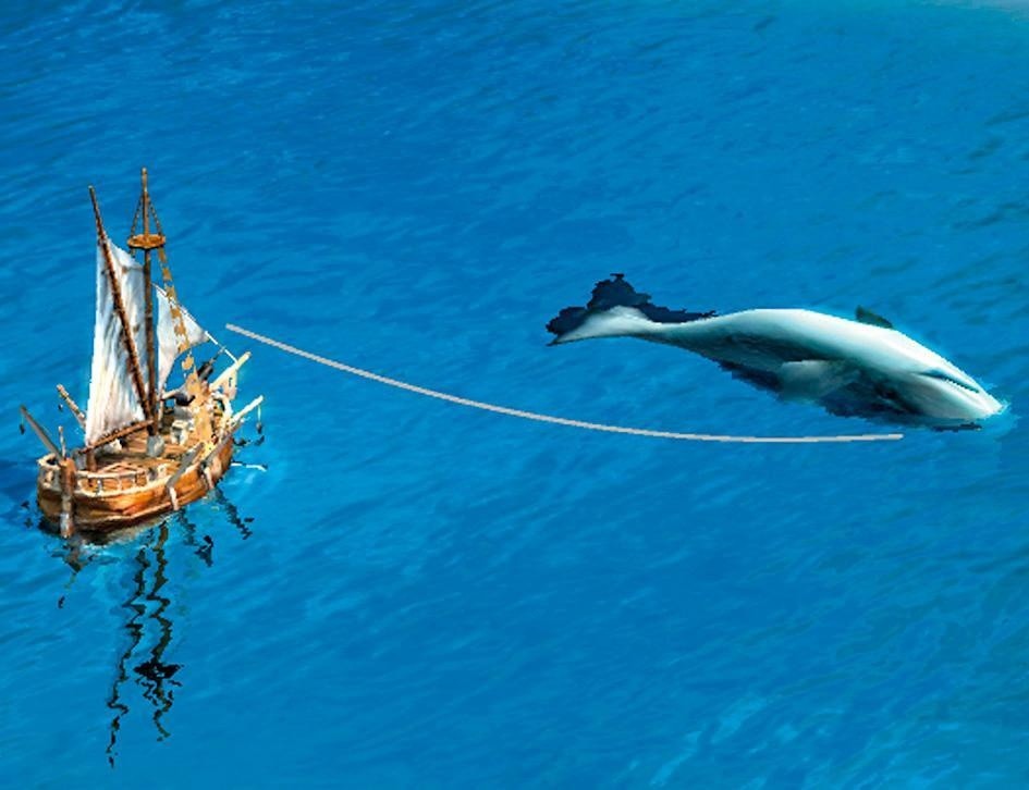 Walfänger liefern den Grundstoff für Lampenöl und Parfüm.