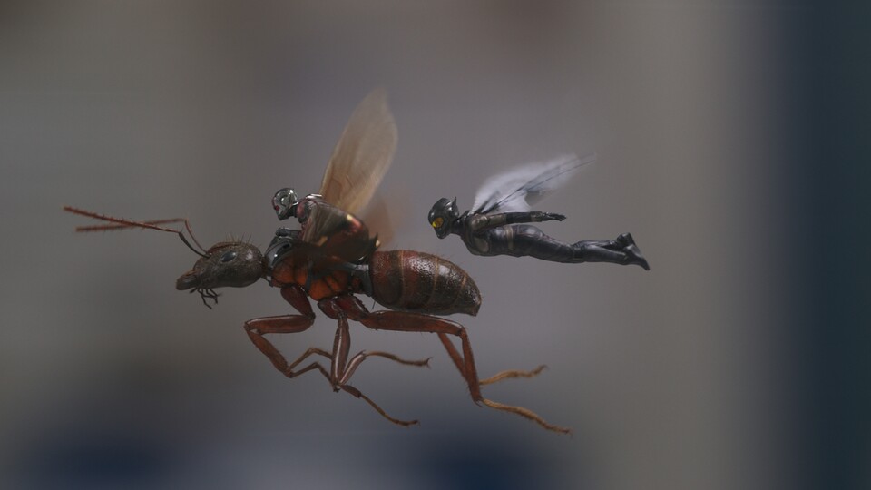Ameisen und Wespen mögen vielleicht nicht die coolsten aller Insekten sein, in Heldenform überzeugen sie aber doch. (Damit die Frage nicht offen bleibt: Das coolste aller Insekten ist natürlich der majestätische Hirschkäfer.)