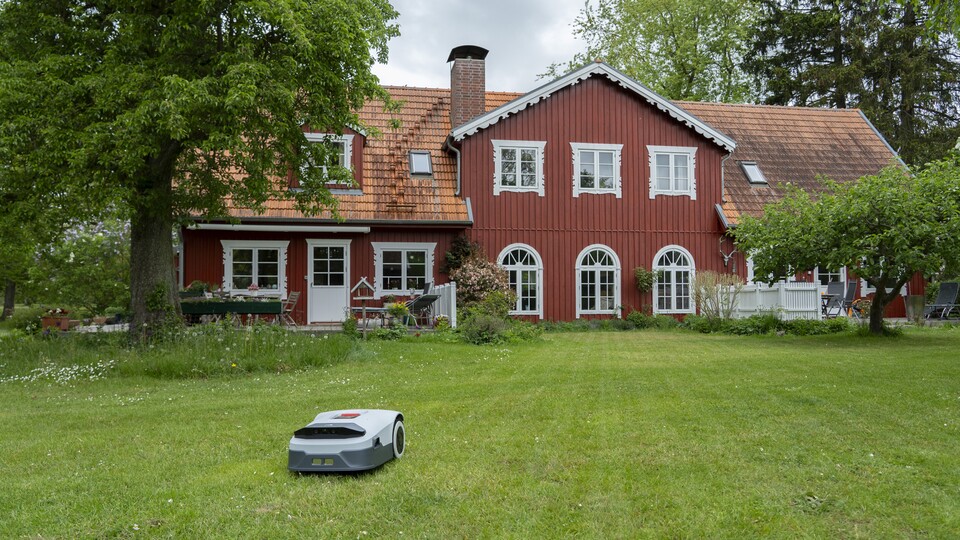 Entspannt zurücklehnen: Während ihr eure Freizeit genießt, sorgt der ANTHBOT Genie 800 vollautomatisch für ein perfektes Schnittbild auf bis zu 800 Quadratmetern Rasenfläche.