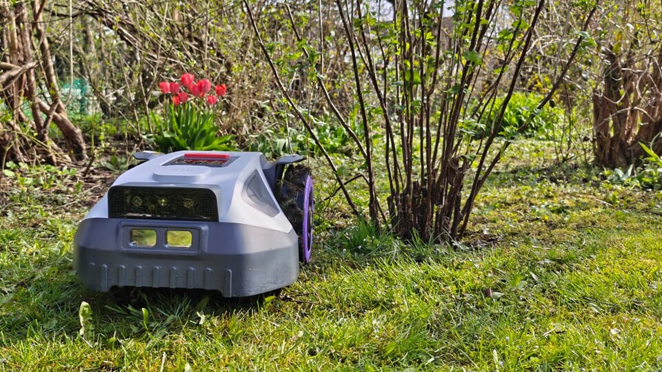 Mein Garten ist mit haufenweise Sträuchern und Blumen ein wahrer Hindernisparkour. Der kompakte Anthbot M9 aber navigiert mühelos durch schmale Passagen und enge Gartenbereiche.