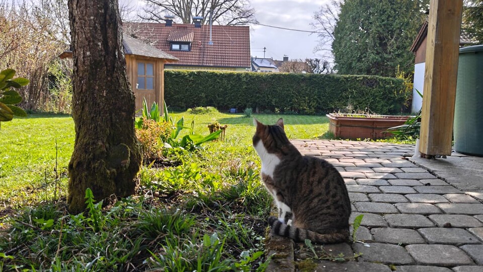Tierschutz wird beim Anthbot M9 großgeschrieben: Die KI-Kamera erkennt Igel und Haustiere und weicht zuverlässig aus.