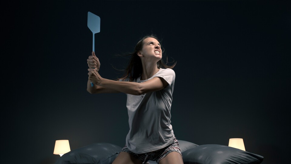 Ich HASSE Mücken. Ohne Witz: Wenn es abends im Bett neben meinem Ohr surrt, dann mutiere ich zum Tier, das erst Ruhe gibt, wenn die Beute erlegt ist.