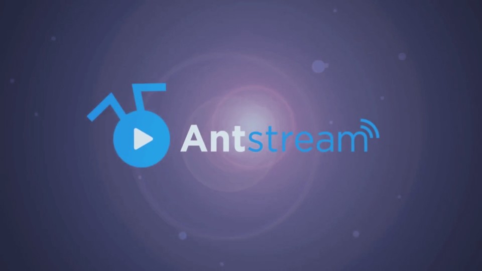 Antstream will Retrofans ein bequemes und kostengünstiges Gaming-Vergnügen ermöglichen. (Bildquelle: Kickstarter/Antstream)