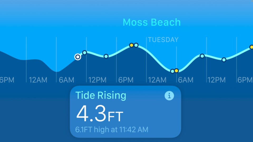 Es gibt eine Tides-App. Schon gewusst?
