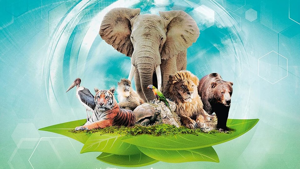 In diesem Brettspiel könnt ihr wortwörtlich die Affen aus dem Zoo lassen.