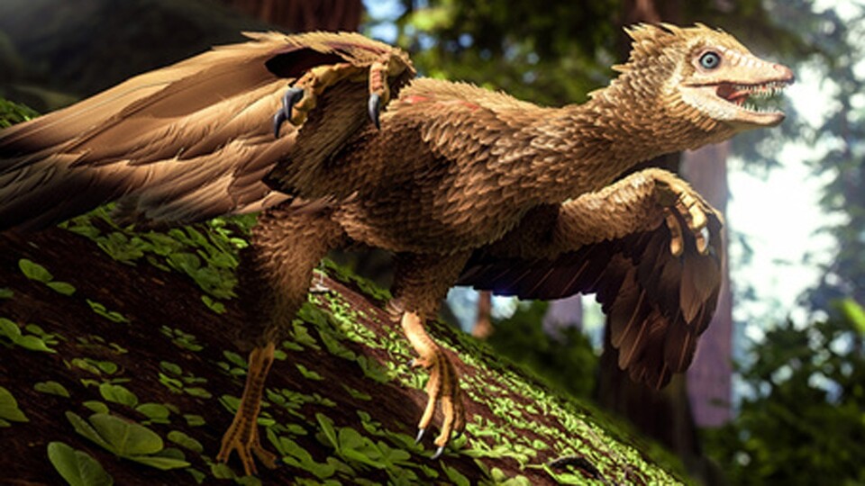 ARK: Survival Evolved bietet jetzt den Urzeit-Vogel Archaeopteryx.