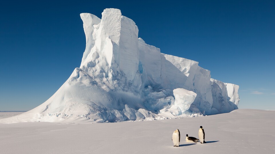 Für die Menschheit steht die Antarktis ausschließlich für Solcherlei: massives Eis, Kälte und natürlich Pinguine. (Bildquelle: Mario Hoppmann - stock.adobe.com)