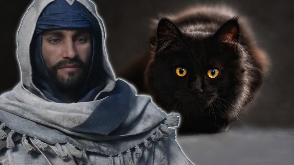 Basim hilft in Assassins Creed Mirage auch Katzen in Not.