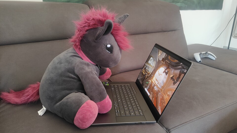 Die liebe Ruby hier hatte viel Freude dabei, beim 3DMark Port Royale zuzuschauen, da auch Stofftiere dem Reiz flüssiger Raytracinggrafik offenbar nicht widerstehen können.