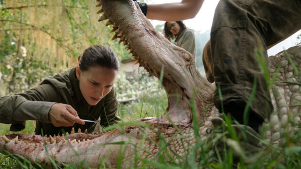 Lena (Natalie Portman) untersucht ein Krokodil mit Haizähnen. Bildquelle: Paramount Pictures.