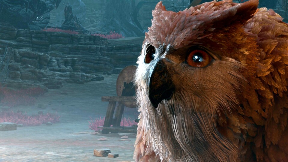 Baldurs Gate 3: Haben Sie jemals mit Ihrem Eulenbär gesprochen? Wir sind schon!