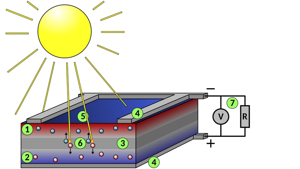 So funktioniert eine Solarzelle: Sonnenstrahlen treffen auf die Oberfläche der Zellen, durch das Silizium bilden sich Elektronenlöcher. Die Elektronenlöcher wandern in den p-dotierten Bereich, die Elektronen in den n-dotierten. Quelle: Wikipedia