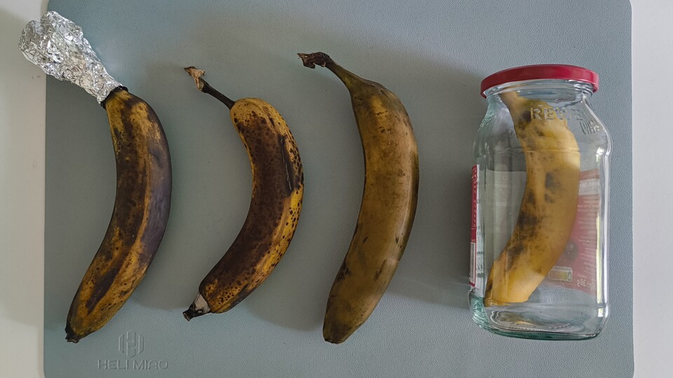 Die zweite Banane von rechts ist die, die im Kühlschrank aufbewahrt wurde.