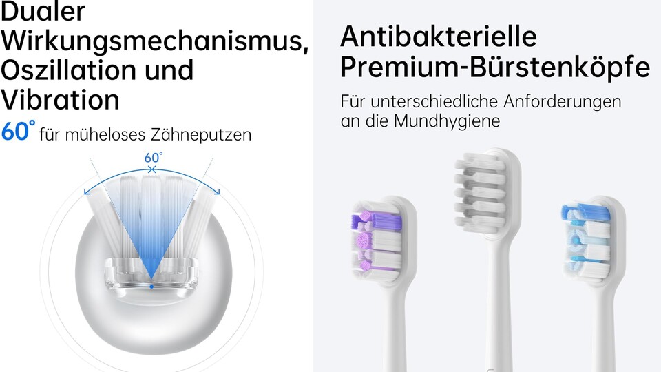 Ein kleines Gert sticht gerade einen alten Champion aus - warum kam bisher  keiner auf die Idee?!