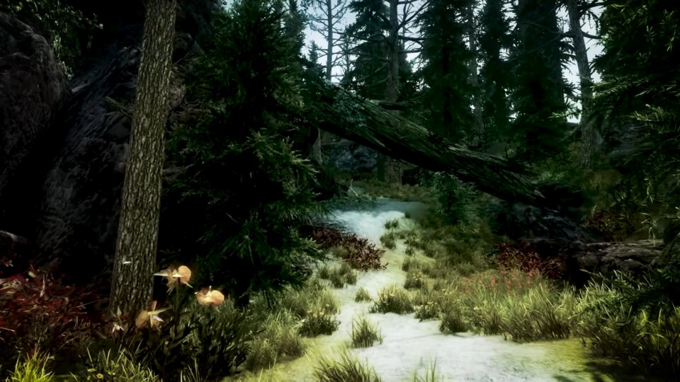 Beyond Skyrim: Roscrea - Entwicklertagebuch zeigt unentdecktes Land von Tamriel