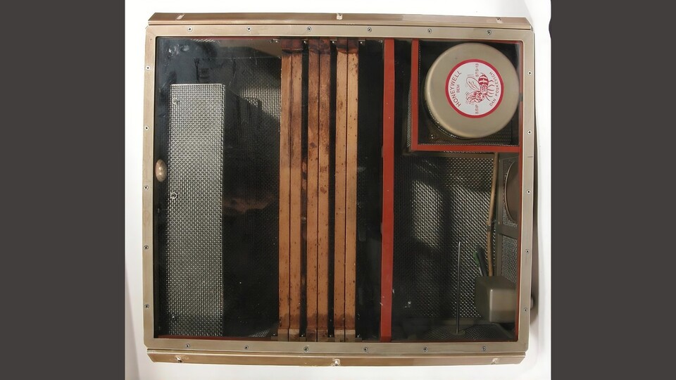 Das eigens entwickelte Bee Enclosure Module (BEM): Neben Futter und Belüftung bot der Kasten den Bienen drei Holzrahmen und einen kleinen Flugraum in Schwerelosigkeit. (Bildquelle: NASA, Smithsonian)