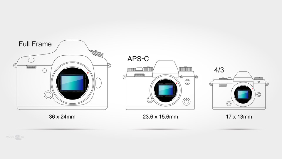 Neben diesen drei Sensorgrößen gibt es noch weitere. Wie das Bild zeigt, sind APS-C- und MFT-Sensoren deutlich kleiner als das Vollformat. Das hat Vor- und Nachteile, die auch in der Makrofotografie zum Tragen kommen. (estherpoon, Adobe Stock)