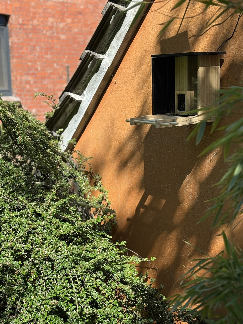 Hier habe ich das Vogelfutterhaus angebracht - etwas abgelegen, damit die Vögel nicht gestört werden