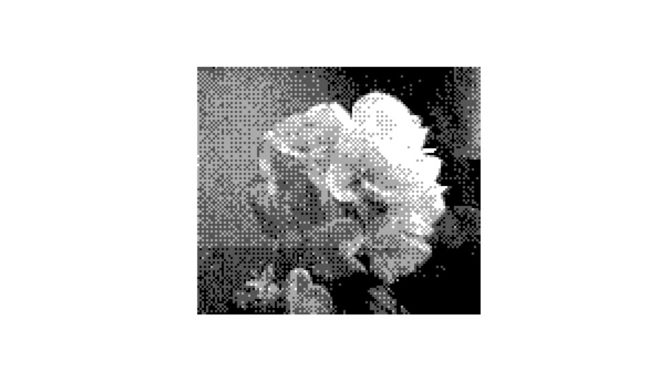 Das Bild einer Blume – fotografiert mit der Gameboy-Kamera (Bildquelle: GameStar Tech)