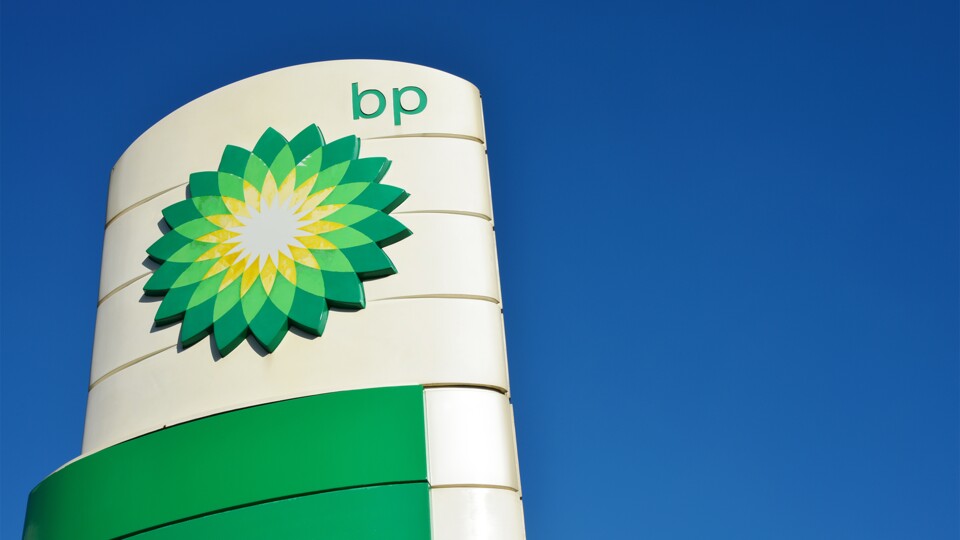 Das Logo so Umweltfreundlichkeit suggerieren. (Bild: nmann77 - adobe.stock.com)