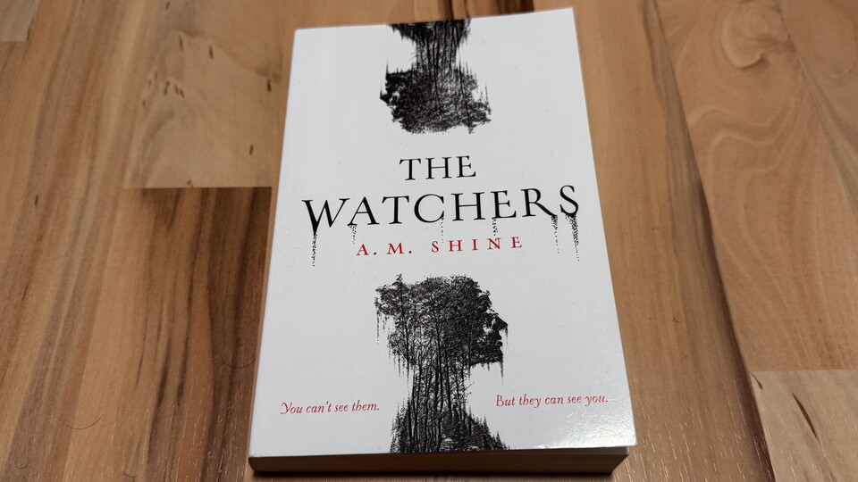 The Watchers ist ein kleines Büchlein, lässt sich gut an ein ein paar Abenden lesen.