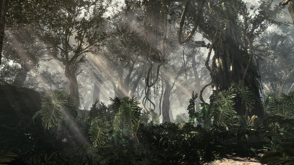 Nvidia hat die minimalen Systemanforderungen zu Call of Duty: Ghosts veröffentlicht.