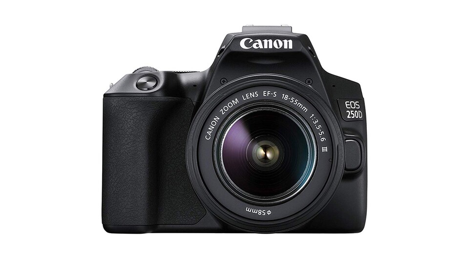 Die Canon EOS 250D ist einfach zu bedienen und liefert schnell gute Ergebnisse.