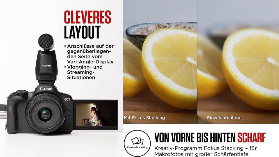 Scharfe Fotos auf neuem Niveau: Auch mithilfe von KI macht die Canon EOS R50 Bilder, die wirklich Highend-Qualität haben.