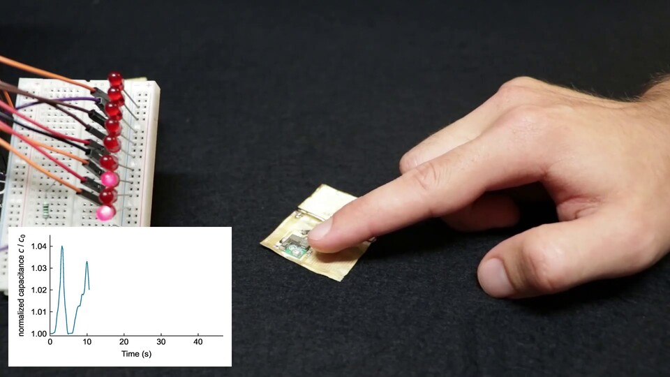 Ein Prototyp mit einem Näherungssensor, der auf der Pilzhaut installiert wurde (Bild: science.org)