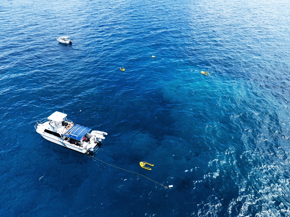 Durch die Oberfläche lässt sich der schattenhafte Umriss der Korallen erahnen.
(Bildquelle: Citizens Of The Reef)
