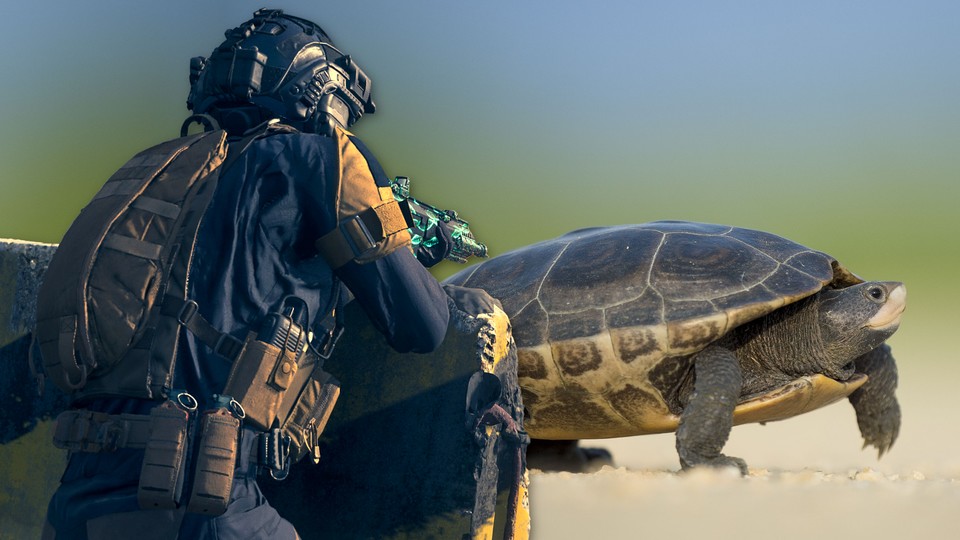 Auf richtige Schildkröten müssen wir in Modern Warfare 3 zum Glück nicht schießen.