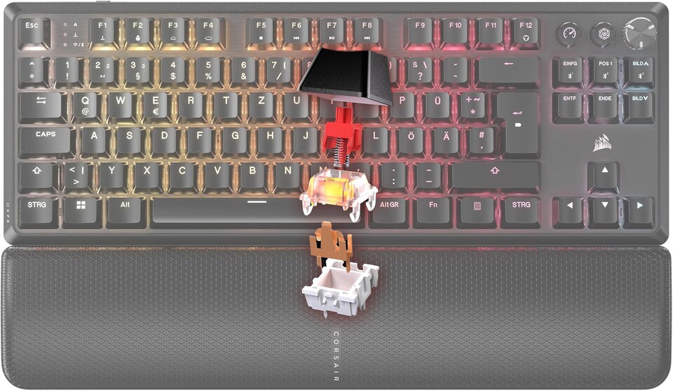 Die MLX Red v2 Switches sorgen für einen butterweichen Tastenanschlag.