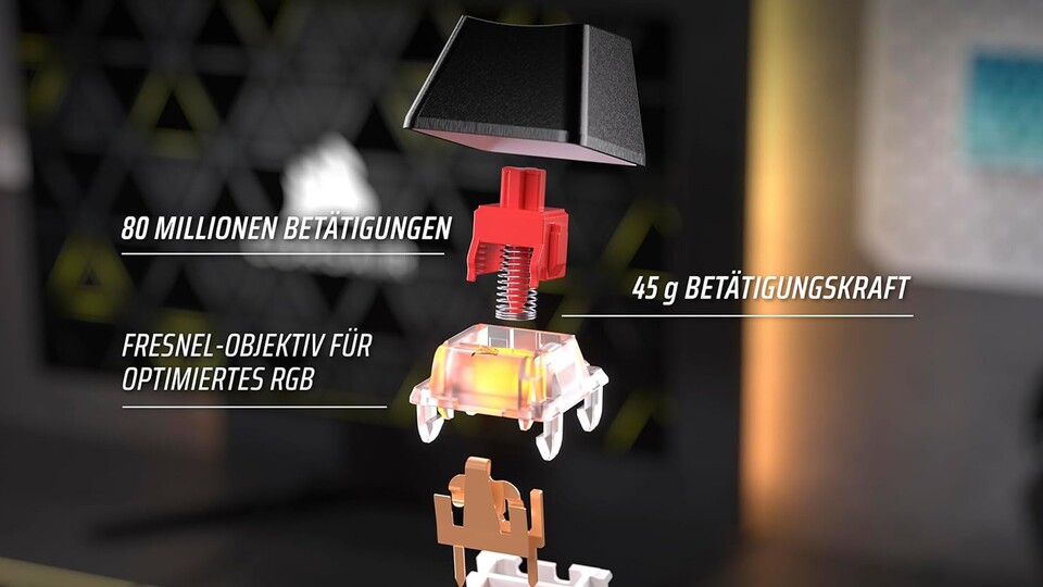 Haltbarkeit, Eingabeverhalten und RGB-Beleuchtung: Bei dieser Tastatur ist alles einfach nur erstklassig.