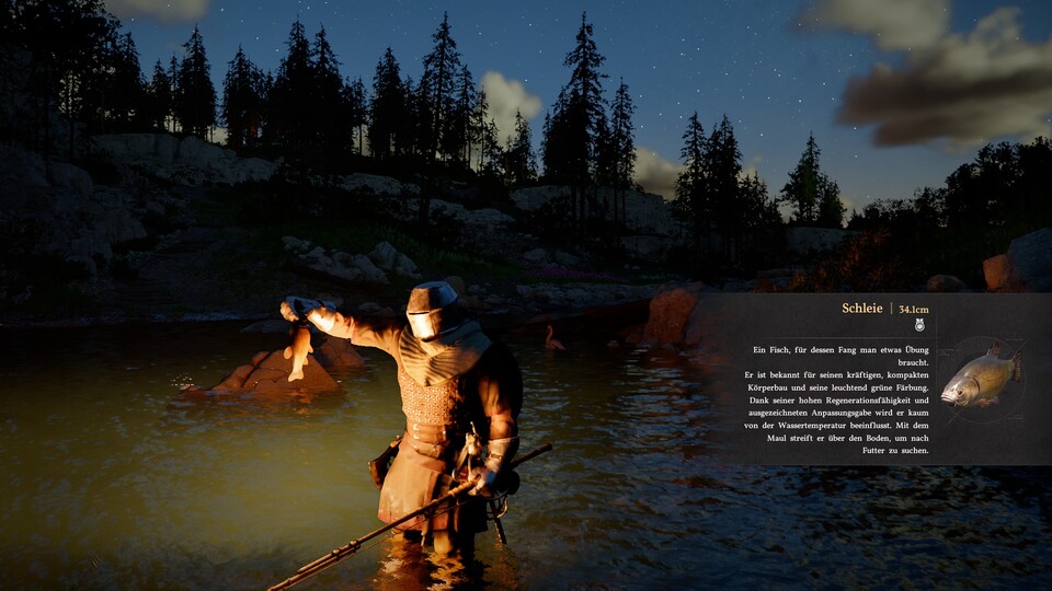 Unser erster erfolgreicher Fang ist eine Schleie. Das Biest hat sich mächtig gewehrt und erforderte langes Kurbeln.