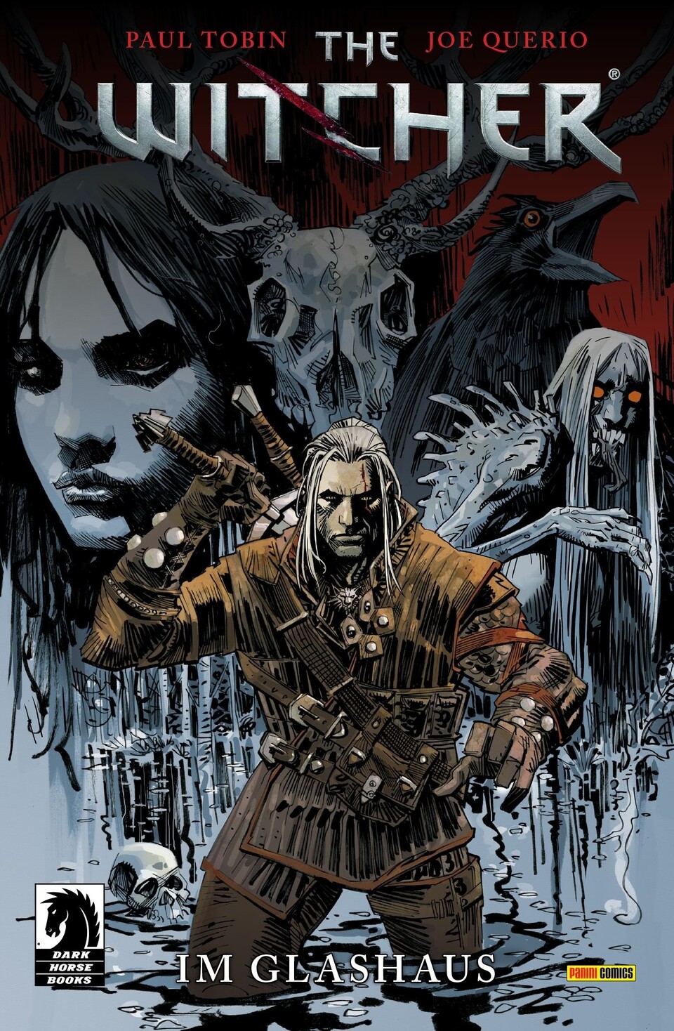 »Im Glashaus« ist der erste Band der gelungenen neuen Witcher-Comic-Reihe von Dark Horse Books.