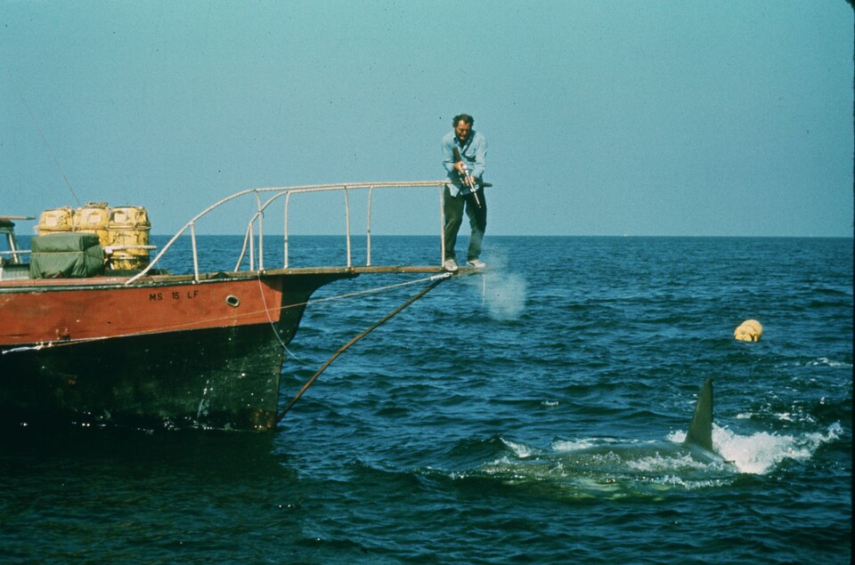 Harpunen-Action in Der weiße Hai