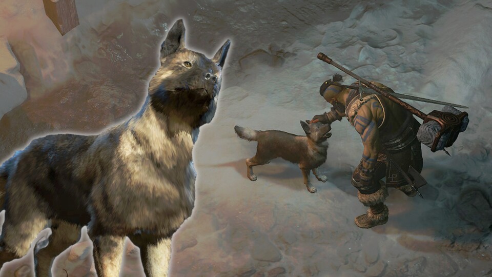»Wer ist ein guter Junger?« In Diablo 4 stehen euch jetzt tierische Begleiter zur Seite.