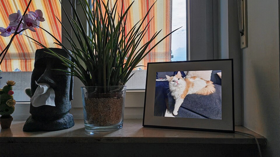 Aus dem Augenwinkel macht ein gedimmter digitaler Bilderrahmen recht angenehmes Licht. (Bild: Maxe S., GameStar)