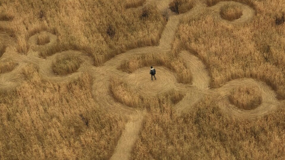 Wenn es um Aliens geht, dürfen natürlich auch Kornkreise nicht fehlen.