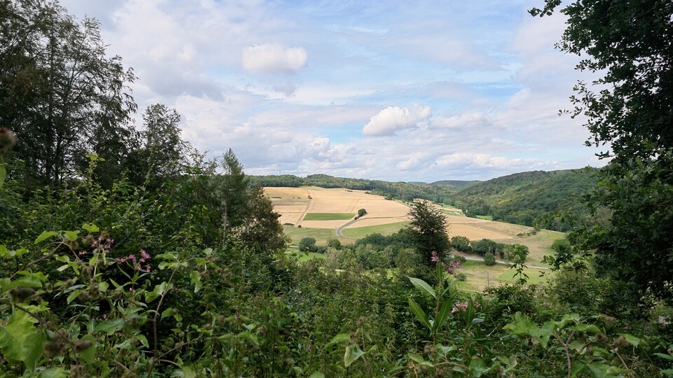 Weitwinkel (20mm)