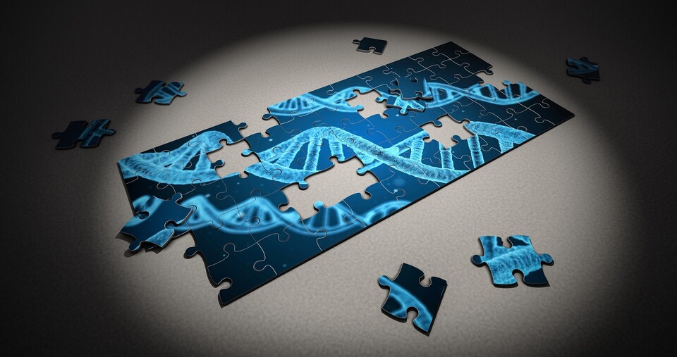 Sollte man sich die richtige DNS zusammenpuzzlen?