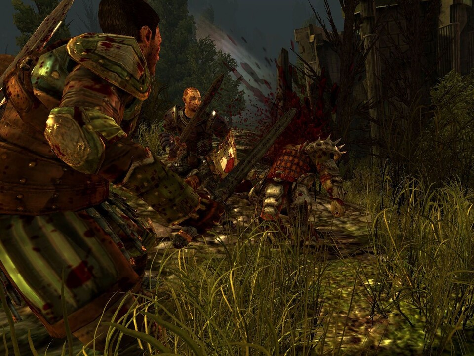 Dragon Age ist ein erwachsenes Spiel, Gegner kommen meist blutig ums Leben.