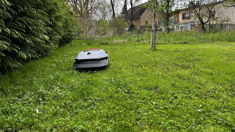 Gleichmäige U-Bahnen sorgen für ein sehr sauberes Schnittbild.